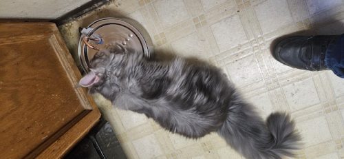 His sister , Angelica