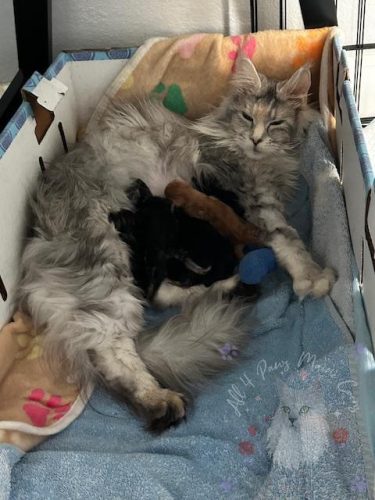 Xoe and Leo 3-9-2026-01-watermarked