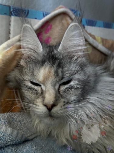 Xoe and Leo 3-9-2026-02-watermarked