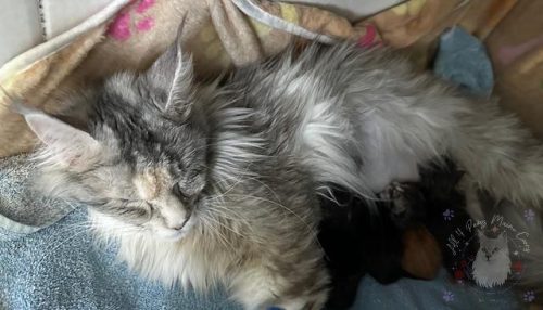 Xoe and Leo 3-9-2026-03-watermarked