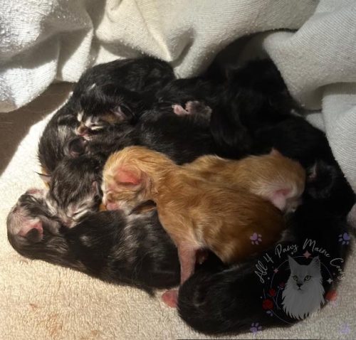 Xoe and Leo 3-9-2026-05-watermarked